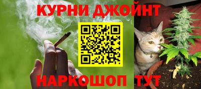 прущие грибы Кизилюрт