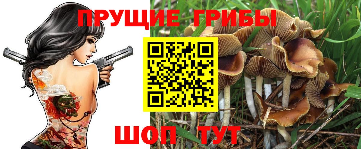 Знаменск  закладка  Вход с VPN  Галлюциногенные грибы Magic Shrooms 